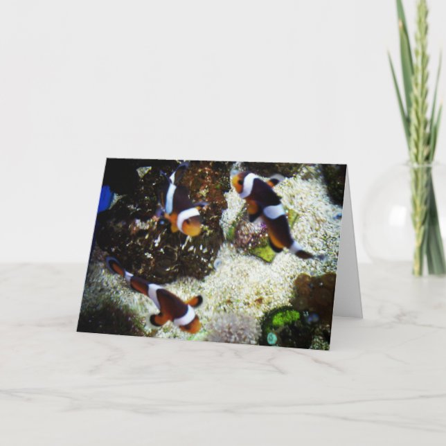 "Clownfisk\" Födelsedags kort (Framsida)