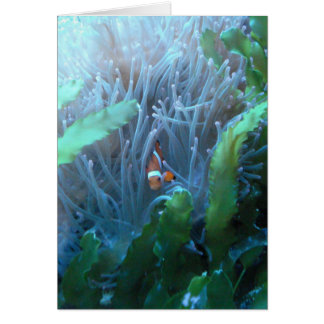 Clownfisk Hälsningskort