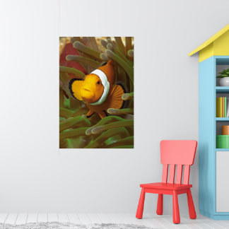 Clownfisk i grön anemone. Korallrev Raja Ampat | Poster