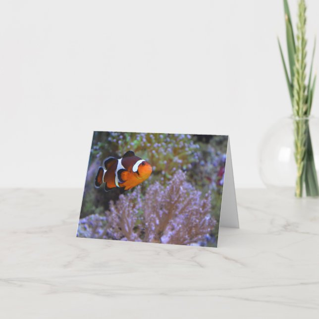 Clownfisk Korallhavet Anemon Undervattensfoto Söt Kort (Framsida)