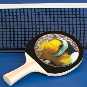 Clownfisk - närbild! Rund fotografisk design Pingisracket