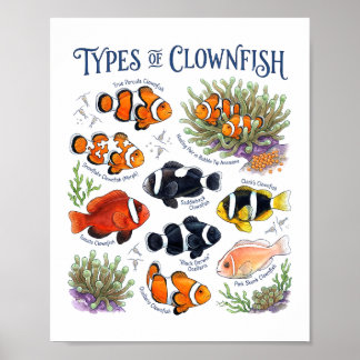 Clownfisk Vattenfärg Tropisk Rev Fisk Konst Poster