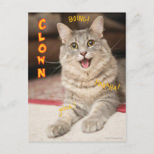 Clownkatt Vykort