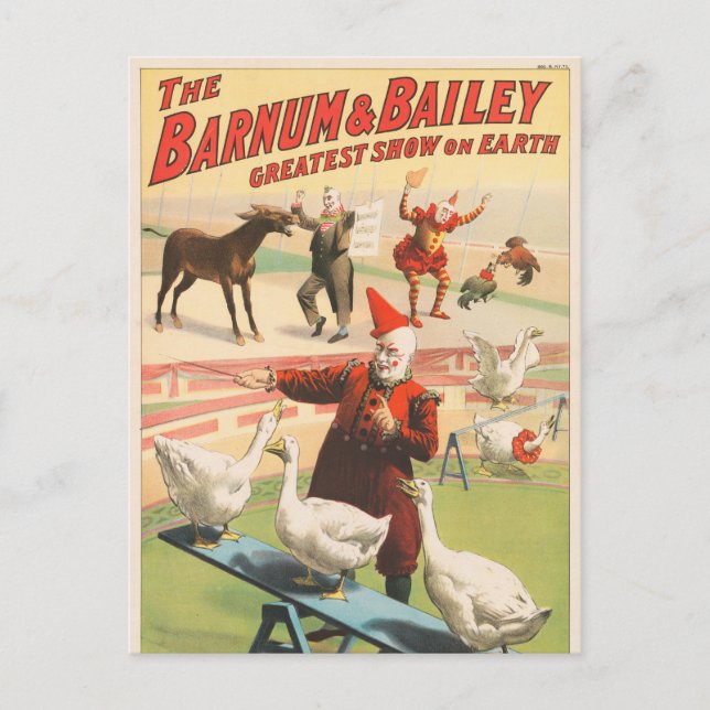 Clowns with Performing Geese, Tuppar och Donkey. Vykort (Framsida)