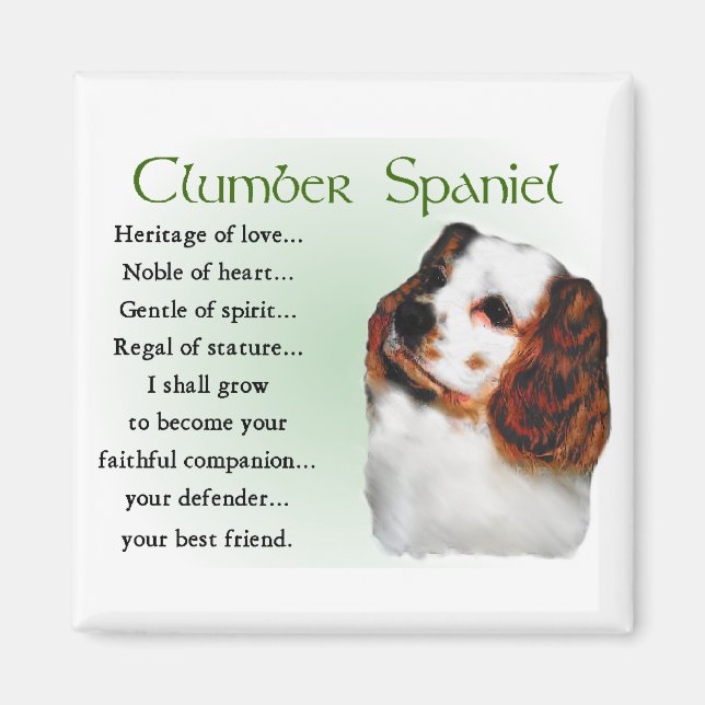 Clumber Spain Gifts Magnet (Framsidan)