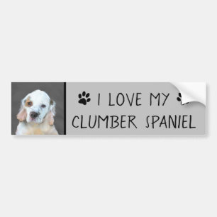 Clumber Spain Painting - Cute Original Hund Art Bildekal