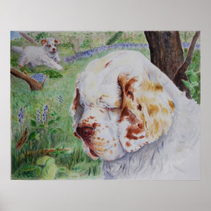Clumber Spain - Vår Woodland print Poster