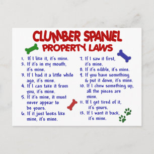 CLUMBER SPANIEL Egendom LAGSTIFTNING 2 Vykort