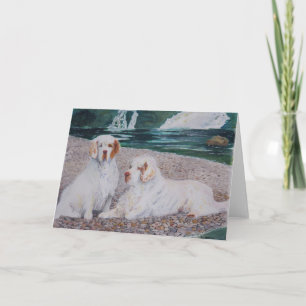 Clumber Spaniel - Pebble Beach hälsningkort Kort