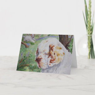 Clumber Spaniel - vårskogsmark - kort