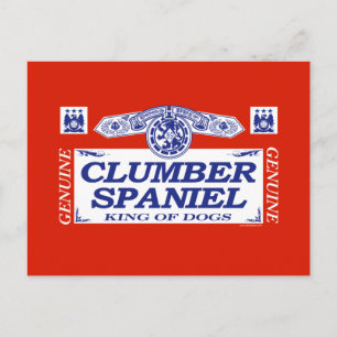Clumber Spanska Vykort