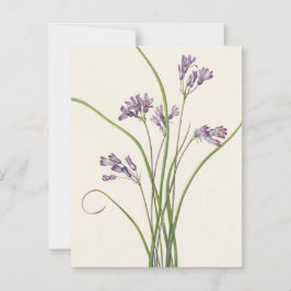 Clusterlily av Mary Vaux Walcott Anteckningskort