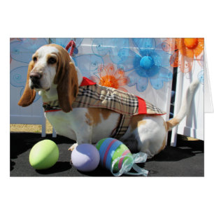 Clyde - Bassethund -3 Hälsningskort