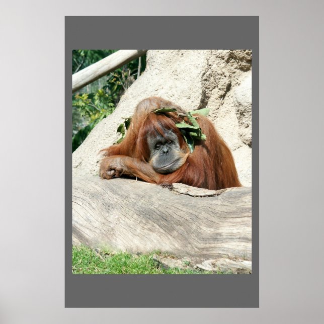 Clyde Poster (Framsidan)