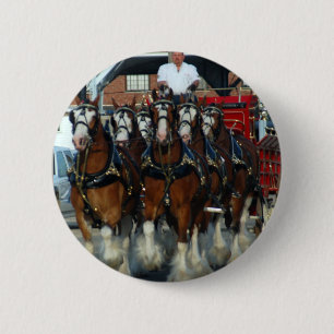 Clydesdale 6 hästhake knapp