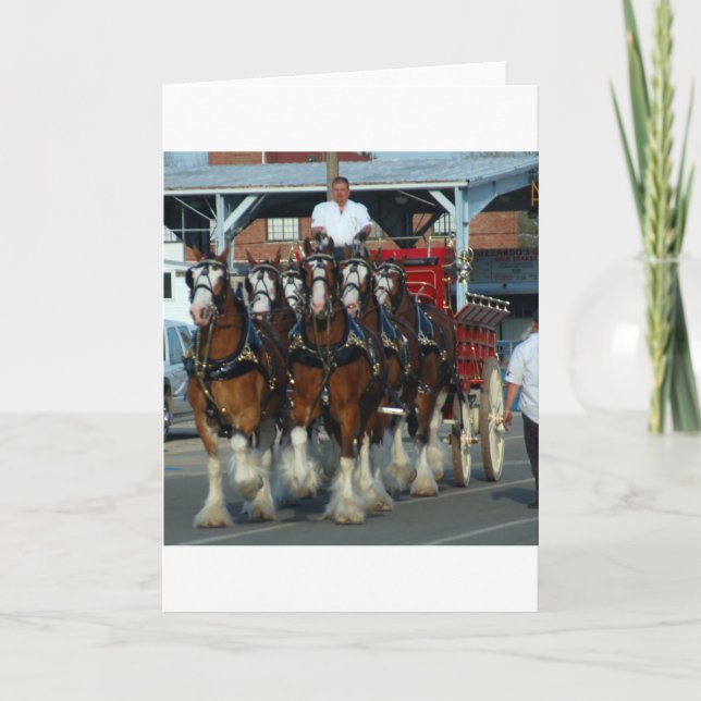 Clydesdale 6 hästhake kort (Framsida)