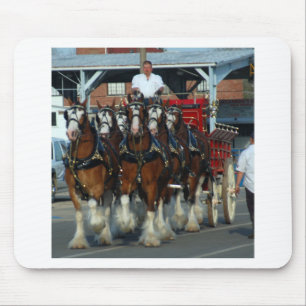 Clydesdale 6 hästhake musmatta