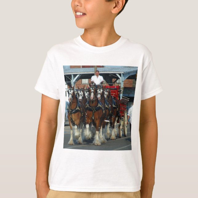 Clydesdale 6 hästhake t shirt (Framsida)