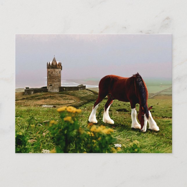 Clydesdale Castle Vykort (Framsida)