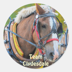 Clydesdale Draft Horse Equine Art Stickers Runt Klistermärke