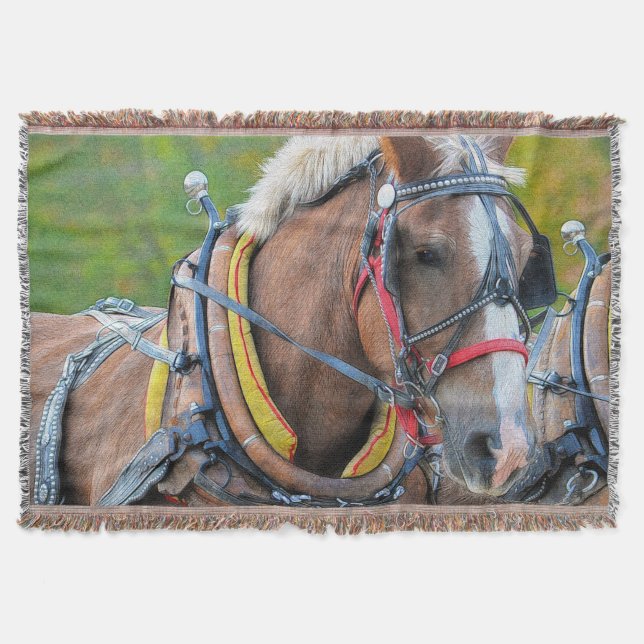 Clydesdale Draft Horse Equine Photo Gift Filt (Framsidan)