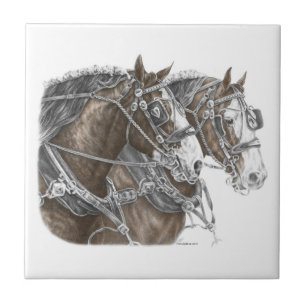 Clydesdale Draft Horse Team Kakelplatta