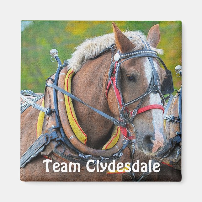 Clydesdale Draft Horse Team Magnetic Art Gift Magnet (Framsidan)