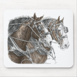 Clydesdale Draft Horse Team Musmatta
