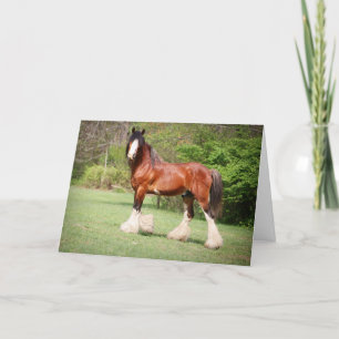 Clydesdale födelsedagkort kort