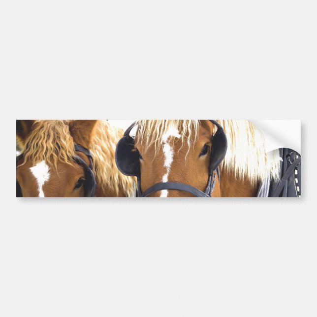 Clydesdale formulerar hästbildekalet bildekal (Framsidan)