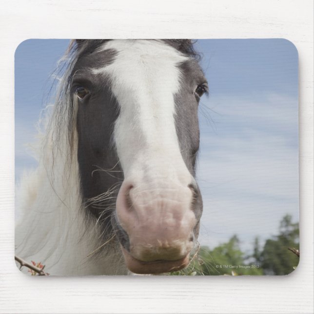 Clydesdale häst porträtt musmatta (Framsidan)