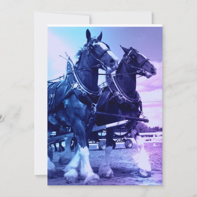 Clydesdale hästinbjudan inbjudningar (Framsida)