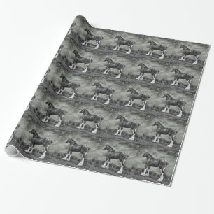 Clydesdale hingst B&W Presentpapper