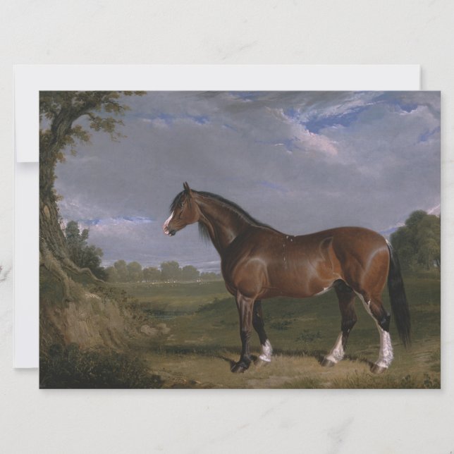 Clydesdale-hingst (fullblodshäst) (Djur) Kort (Framsida)