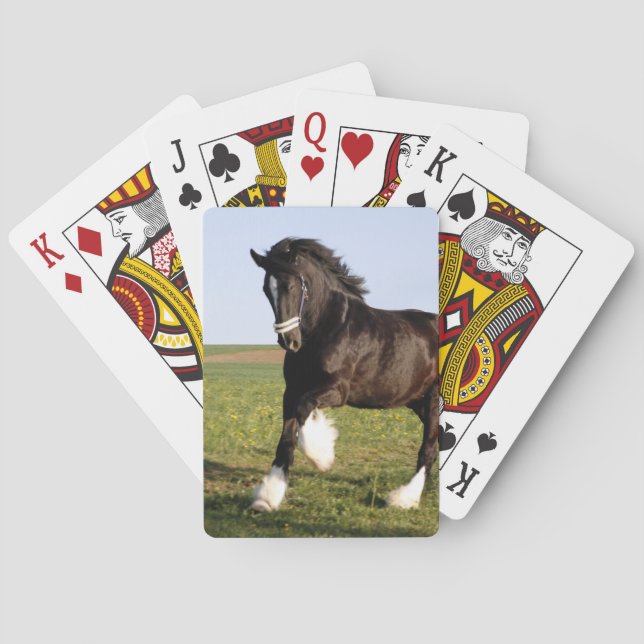 Clydesdale Horse Casinokort (Baksidan)
