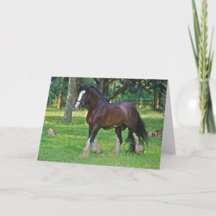 Clydesdale Horse Kort