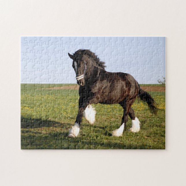 Clydesdale Horse Pussel (Horisontell)