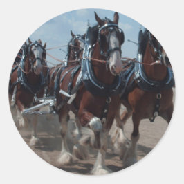 Clydesdale Horses Runt Klistermärke