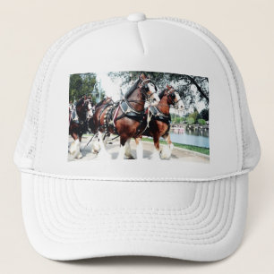 Clydesdale Horses Truckerkeps