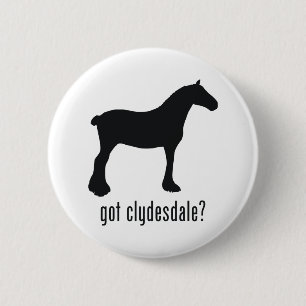 Clydesdale Knapp