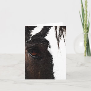 Clydesdale Kort