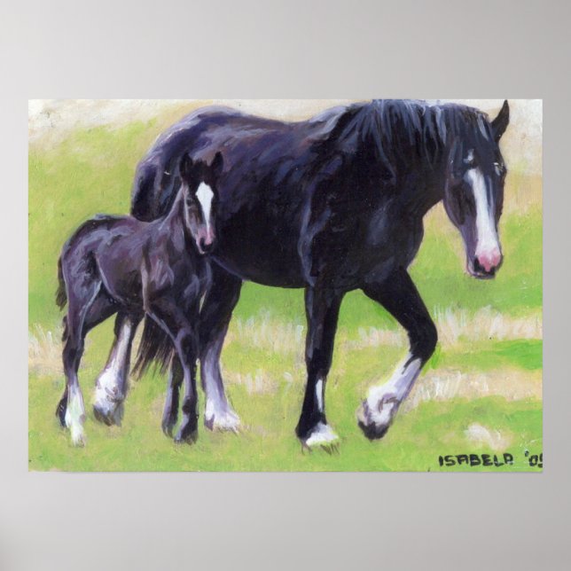 Clydesdale Mare and Foal Horse Porträtt Poster (Framsidan)