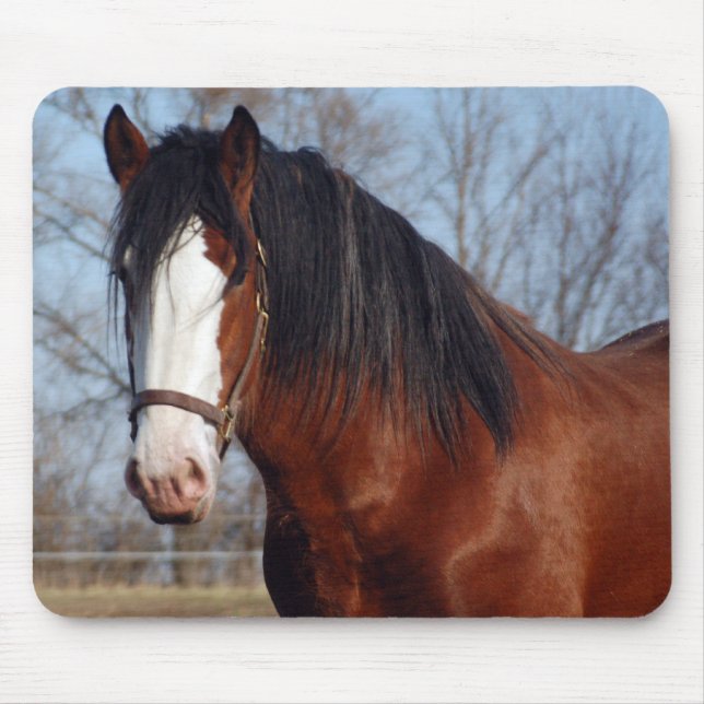 Clydesdale mousepad musmatta (Framsidan)