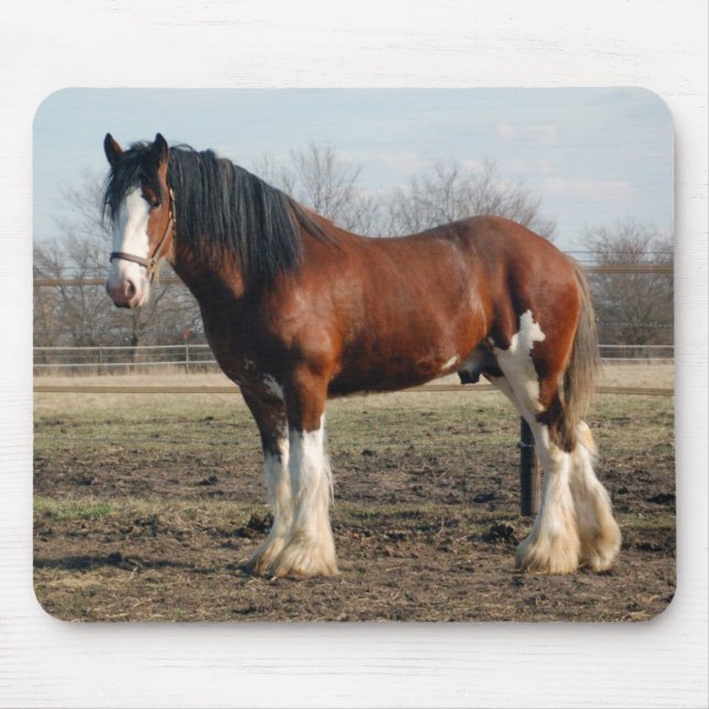 Clydesdale mousepad musmatta (Framsidan)