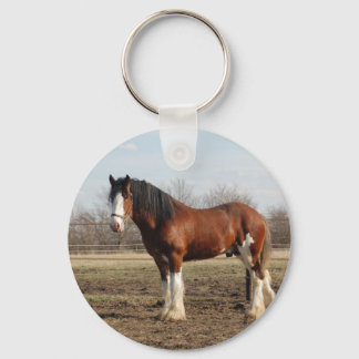 clydesdale nyckelring