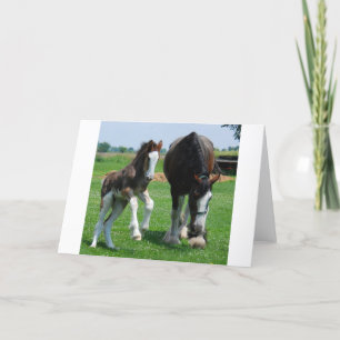 clydesdale och ungsto kort