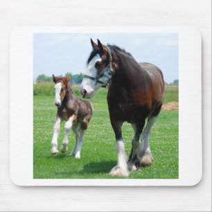 Clydesdale och ungsto musmatta