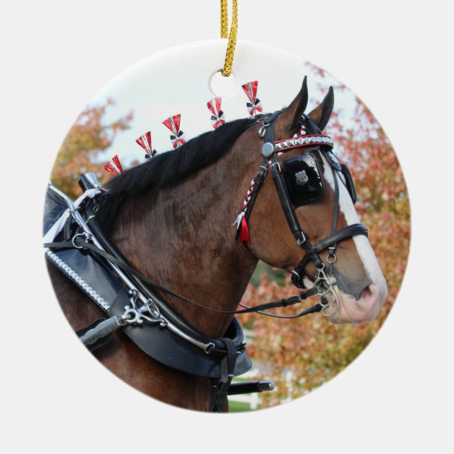 Clydesdale ornament (Framsidan)
