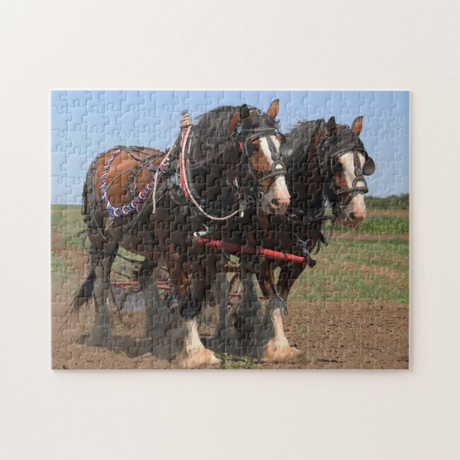 Clydesdale Plowing Horses. Pussel (Horisontell)