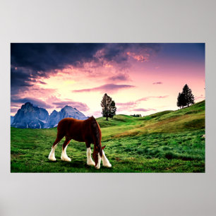 Clydesdale solnedgång poster